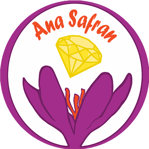 ana safran