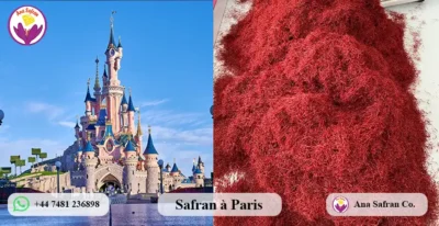 Safran à Paris