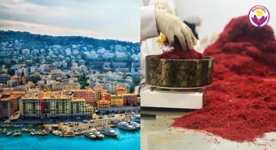 Safran prix à Nice