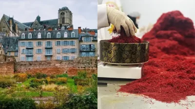 Acheter du safran au Mans