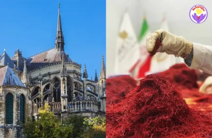 Où acheter du safran à Reims?